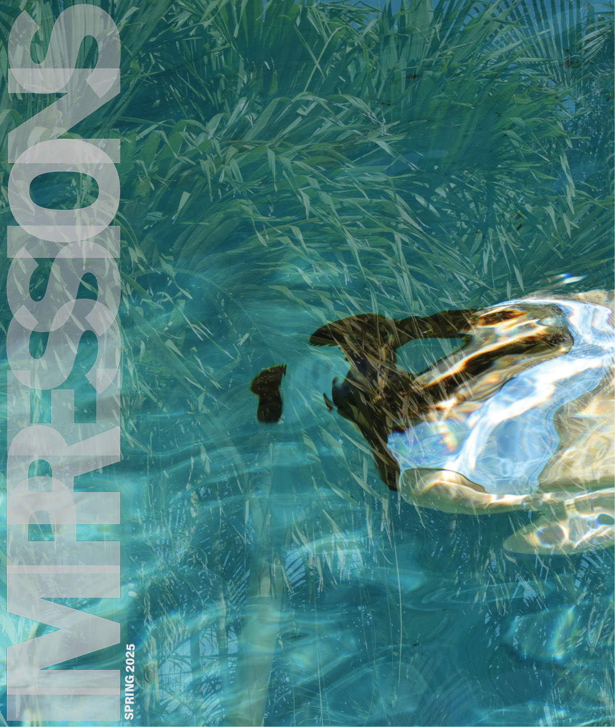 page of Impressions magazine